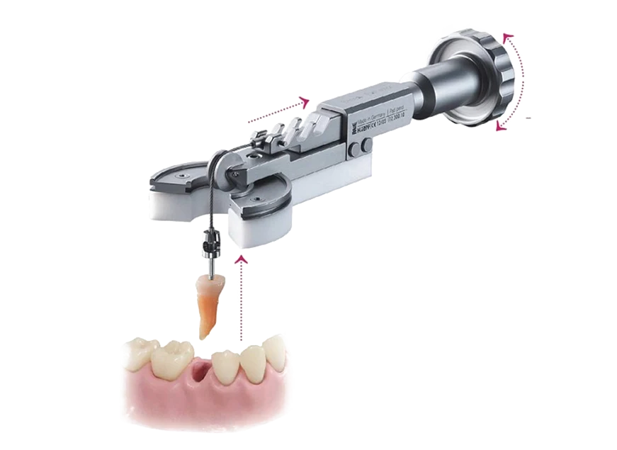 Extractor dental